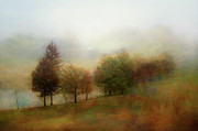 Color Line Photograph by Pete Rems