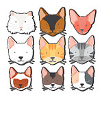 Colorful Cats Faces Breed Art Unique Digital Art by Toms Tee Store