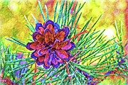 Colorful Cone Drawing Digital Art by David Desautel Colorful Cone Drawing Digital Art by David Desautel