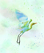 Colorful Crane Watercolor Bird Wildlife Painting Mixed Media by Shelli Fitzpatrick Colorful Crane Watercolor Bird Wildlife Painting Mixed Media by Shelli Fitzpatrick