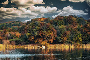 Colorful forest next to the lake Photograph by Dejan Travica