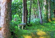 Colorful Forest Painting Lima Ohio Painting by Dan Sproul Colorful Forest Painting Lima Ohio Painting by Dan Sproul