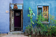 Colorful Historic Tucson Door Architecture 5 Photograph by Gary Whitton