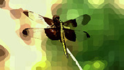 Colorful Minimalist Dragonfly Art Mixed Media by Shelli Fitzpatrick