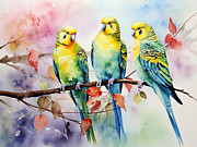 Colorful Parakeet Art Painting by Lourry Legarde