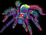 Colorful Spider Pop Art Tarantula Digital Art by Flippin Sweet Gear