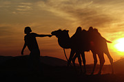 colors of Gobi desert Photograph by Elbegzaya Lkhagvasuren