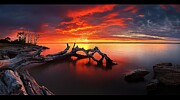 Colors of the South Carolina Coast Digital Art by Sven Andersen