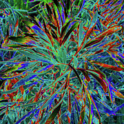 Colourful 1 Digital Art by Stocksom Art Prints