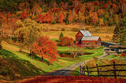 Coming home in a Vermont autumn Photograph by Jeff Folger