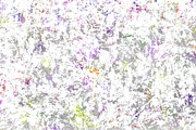 Coming Out Digital Art by Brandi Untz Coming Out Digital Art by Brandi Untz