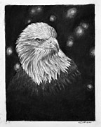 Commanding Gaze  Drawing by Greg Fox