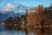 Comox Harbour 2024 Photograph by Randy Hall