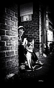 Companionship  Photograph by DB Hayes