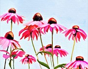 Coneflower Field Painting by Tammy Lee Bradley