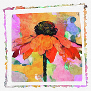 Coneflower POP Painting by Susan Maxwell Schmidt