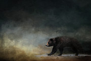 Confident Grizzly Photograph by Jai Johnson