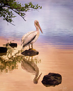 Reflection At Sunrise Photograph by Louise Lindsay