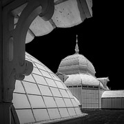 Conservatory of Flowers Photograph by Donald Kinney