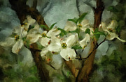 Cool Breeze Painterly Digital Art by Lois Bryan