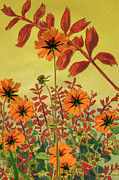 Coreopsis and Sauge Ecarlate Grande Photograph by Mary Lee Dereske