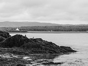 Cormorants near the Point Photograph by Alan Norsworthy