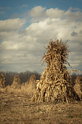 Corn Shocks Photograph by Amfmgirl Photography