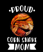 Corn Snake Gift Idea Baby Corn Snake Pet Snake  Drawing by Noirty Designs