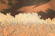 Cornfield with Copper Sky Photograph by Bentley Davis Cornfield with Copper Sky Photograph by Bentley Davis