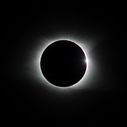 Corona BW Photograph by Melissa Southern