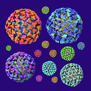 CORONAVIRUS Medley on Purple Digital Art by Russell Kightley