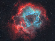 Cosmic Skull Photograph by Ralf Rohner