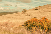 Country colours Photograph by Jorgo Photography