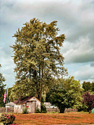 Country Side Shack In Ohio Photograph by Dave Morgan