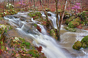 Coward's Hollow Shut-ins I Photograph by Robert Charity