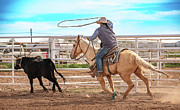Cowgirl Roping Photograph by Kelly Markus