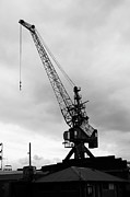Cranes of Cockatoo Island Warameah 2 Photograph by Richard Reeve Cranes of Cockatoo Island Warameah 2 Photograph by Richard Reeve
