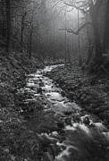 Creek To Nowhere Photograph by Darren White Creek To Nowhere Photograph by Darren White