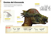 Crestas del dinosaurio Digital Art by Album