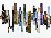 Crosscut#115 Photograph by Robert Glover