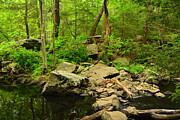 Crossing a Pond on the NY AT Photograph by Raymond Salani III Crossing a Pond on the NY AT Photograph by Raymond Salani III