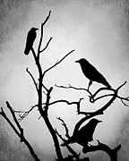 Crow Birds on Trees Bird 89 Digital Art by Lucie Dumas