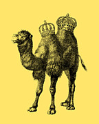 Crowned Camel Mixed Media by Madame Memento