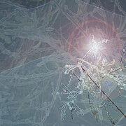Crystalline Digital Art by Gina Harrison