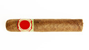 Cuban cigar Photograph by Rouzes