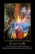 Cuckoo Cocoon by Genesis Digital Art by John Haldane Cuckoo Cocoon by Genesis Digital Art by John Haldane