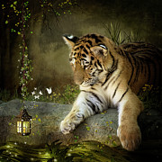 Curiosity Digital Art by Maggy Pease