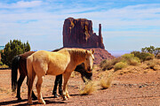 Curious Encounter - Horses in Monument Valley Utah Photograph by Brigitte Blanchette Thompson Curious Encounter - Horses in Monument Valley Utah Photograph by Brigitte Blanchette Thompson