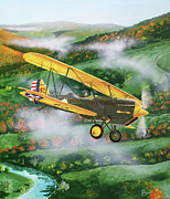 Curtiss O-1E Falcon Painting by Steve Ferguson Curtiss O-1E Falcon Painting by Steve Ferguson
