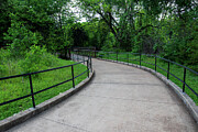 Curves of Tranquility - A Journey Through Nature's Embrace Photograph by Brigitte Blanchette Thompson Curves of Tranquility - A Journey Through Nature's Embrace Photograph by Brigitte Blanchette Thompson